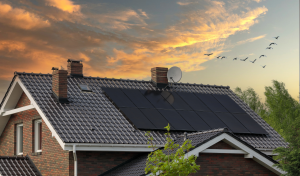 Solar Performance: Estimated vs. Actual Output in a Lisburn Home