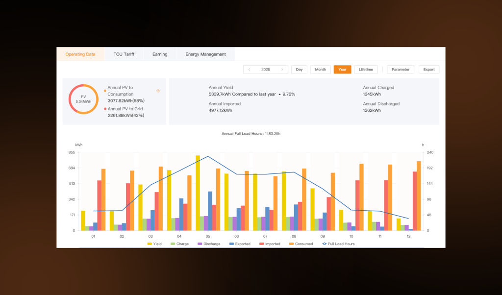 SolisCloud chart for residential solar PV system installed by First Class Solar in Annalong, Co Down across the year 2025 showing annual yield, import, export and discharge.