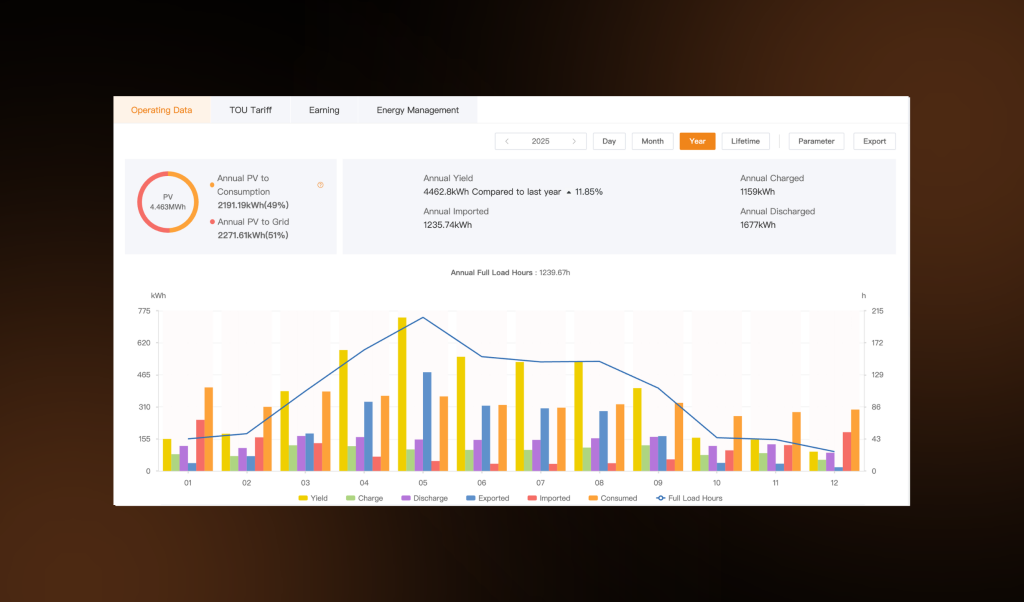 2025 SolisCloud data and output chart for solar PV system installed by First Class Solar in Portadown, Co Armagh showing annual yield, import, export and discharge.